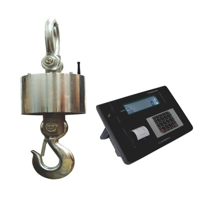 衢州热态电子吊秤【5吨分体式电子吊秤】-产品报价-上海鼎拓实业