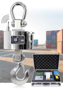 上海百鹰ocs 15t无线电子吊秤,15吨电子吊磅称厂家