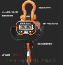 中国名牌 10吨电子吊秤 科技保障,十年品牌 5吨无线吊秤