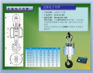 无线配打印仪表电子吊秤,带打印功能电子吊秤,烟台打印电子吊秤_世界工厂网